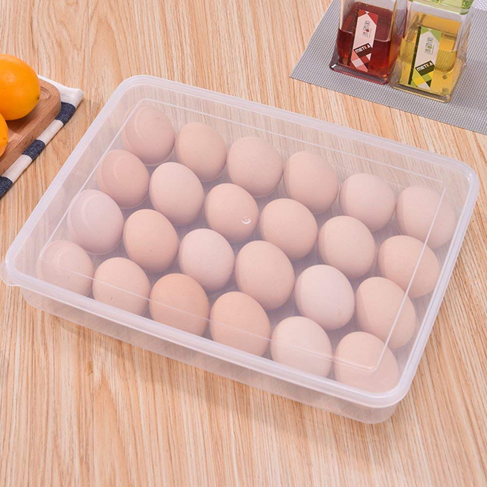 Egg Tray (24 Grid)